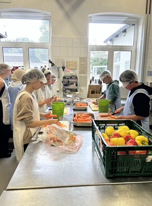 Berufsfelderprobung 8. Jahrgang