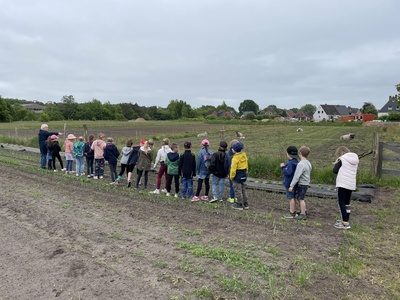 Wandertag Grundschule Wandertag Grundschule